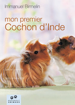 livre cochon d inde